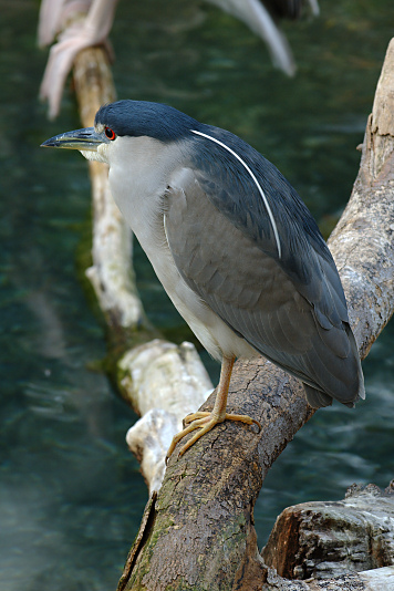 You have reached the last slide